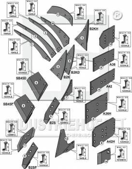 Preview: Körpertyp.US35